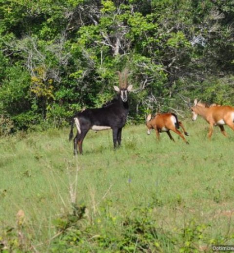  9 Reasons to Visit Diani in 2024